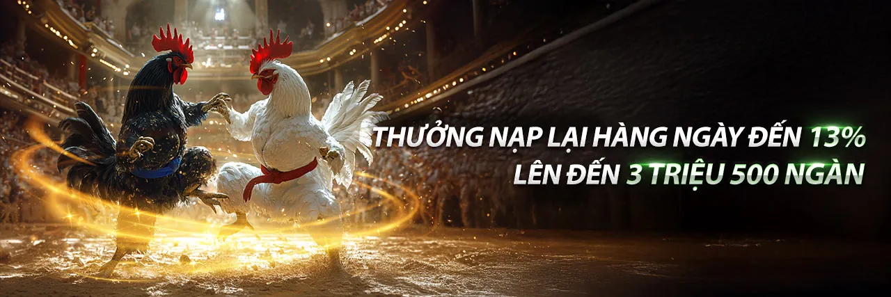 Hình ảnh một trận đấu đá gà kịch tính trên ok83861 đăng nhập